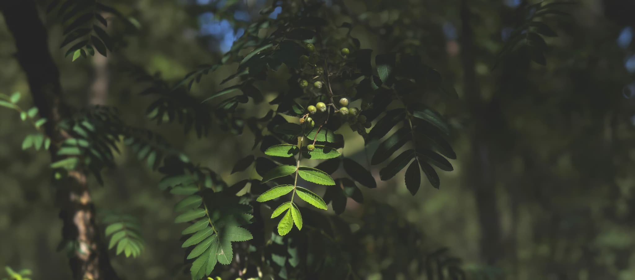 Earth Tones. Natural Fabrics. Timeless Style.